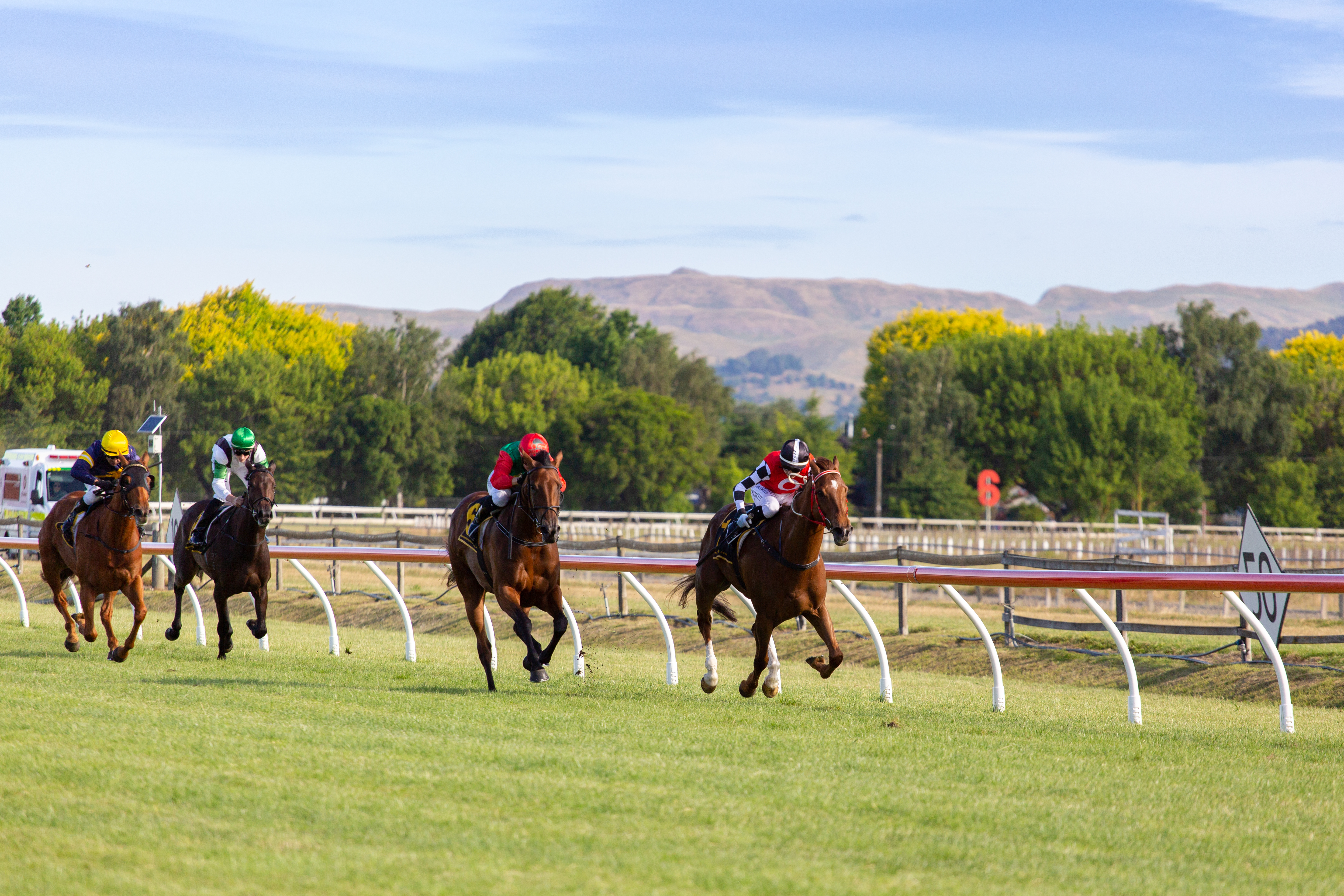 wanganui_raceday_2
